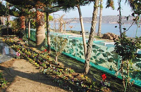 גדר אקווריום טורקיה, צילום: luxurylaunches.com