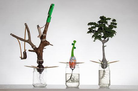 העבודה "Window Garden". חפצים הופכים לצמחים העבודה "Window Garden". חפצים הופכים לצמחים