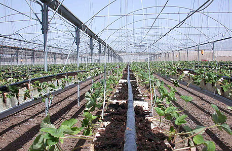 מערכת השקיה של פלסטרו. מוצר מתוחכם ויקר כמו של נטפים מערכת השקיה של פלסטרו. מוצר מתוחכם ויקר כמו של נטפים