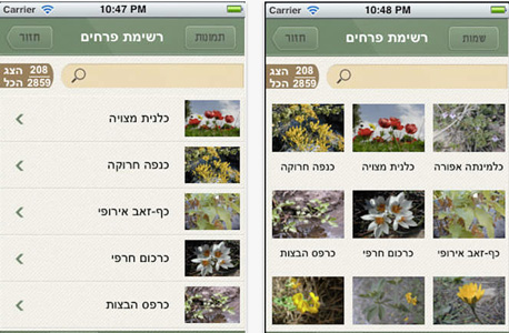 מגדיר צמחים ישראלי