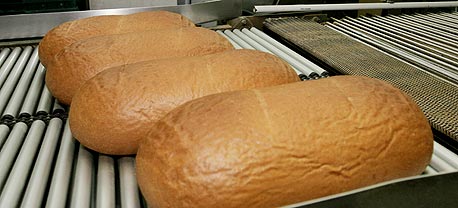 לחם, צילום: שאול גולן