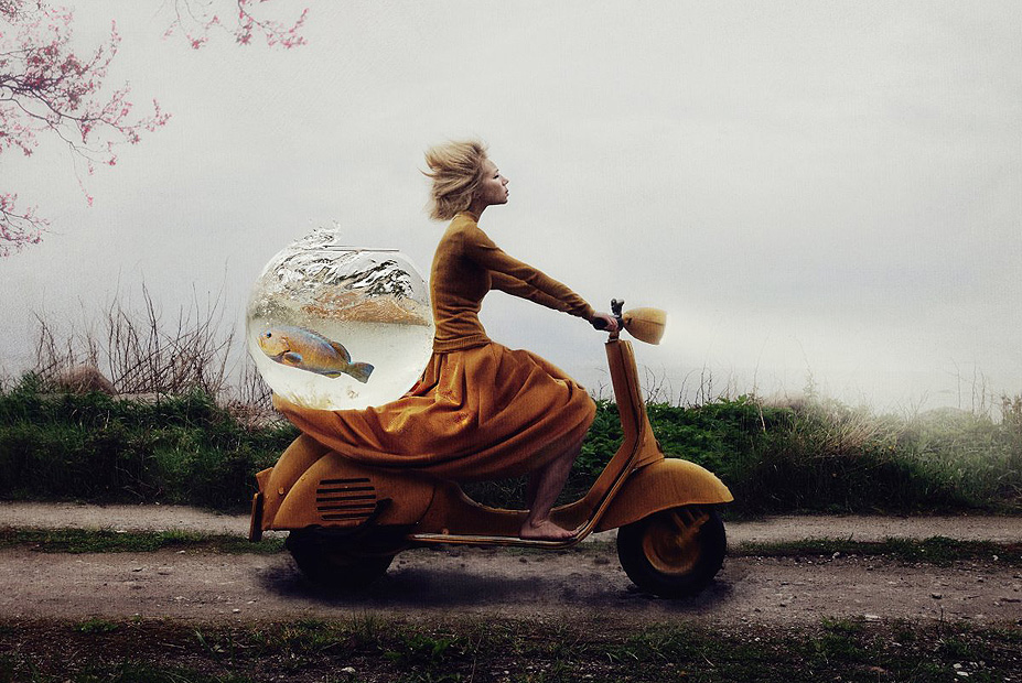צילום: Kylli Sparre צילום: Kylli Sparre
