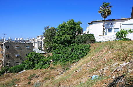 המגרש שרכש רביבו ברחוב משה שרת ברמת גן המגרש שרכש רביבו ברחוב משה שרת ברמת גן