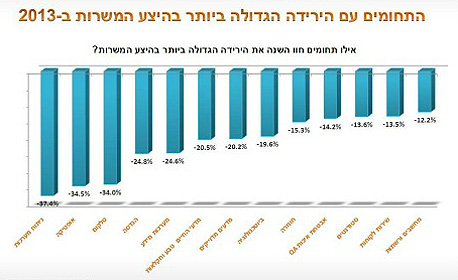 התחומים שהראו ירידה משמעותית במהלך 2013 התחומים שהראו ירידה משמעותית במהלך 2013