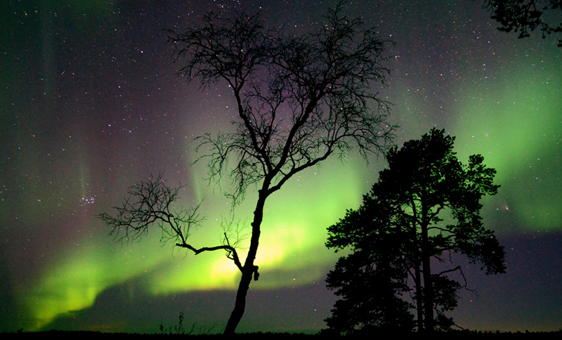 לפלנד, פינלנד, צילום:  Flickr / STEVE K