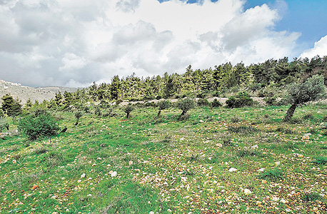 שטחים פתוחים ליד ירושלים שטחים פתוחים ליד ירושלים