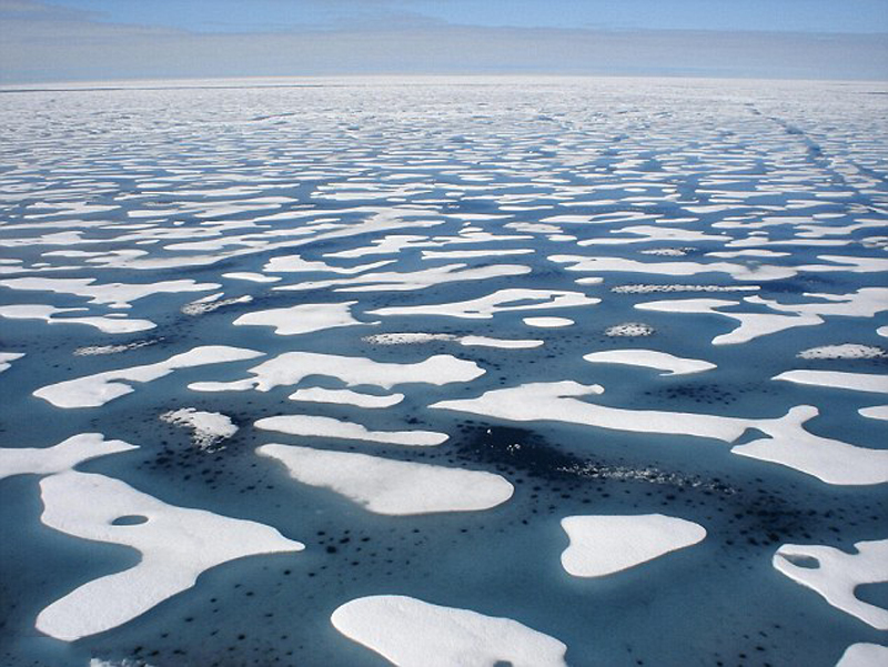 הים הארקטי. נחשב קשה לניווט בשל הקרחונים הצפים בו, צילום: Crystal Serenity