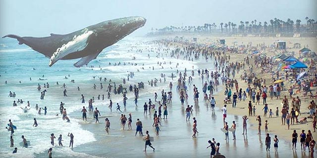 מג'יק ליפ המסתורית שכרה את הסופר ניל סטפנסון כעתידן ראשי