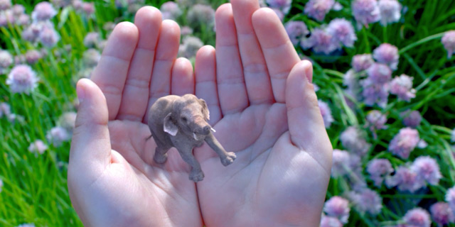 הקסם של Magic Leap: השלימה גיוס של כמעט 800 מיליון דולר