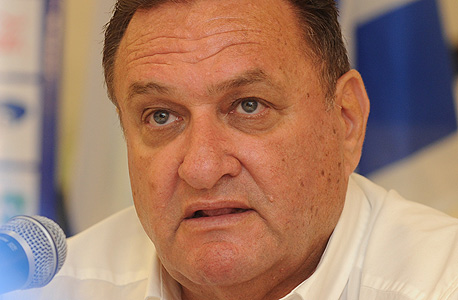 אריה זייף אריה זייף