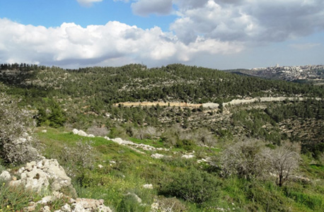 הרי ירושלים. העיר אמורה לקום 2 ק"מ דרומית-מערבית לירושלים הרי ירושלים. העיר אמורה לקום 2 ק"מ דרומית-מערבית לירושלים