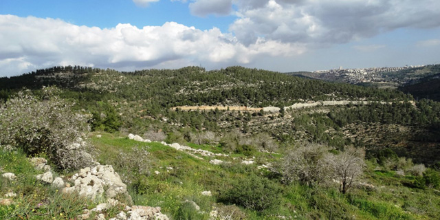ראש מועצת מבשרת ציון מצטרף למתנגדי תוכנית "בת הרים" בהרי ירושלים