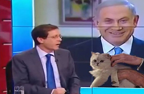 דוקטור ביבי דוקטור ביבי