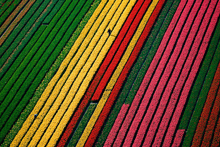 צילום: Yann Arthus-Bertrand צילום: Yann Arthus-Bertrand