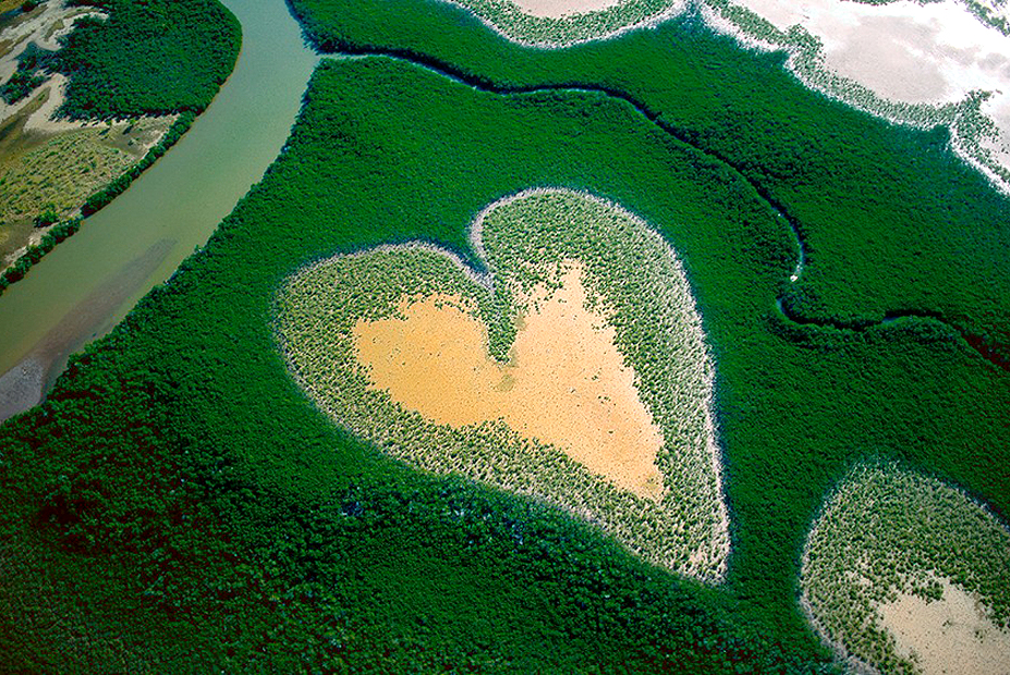 צילום: Yann Arthus-Bertrand צילום: Yann Arthus-Bertrand