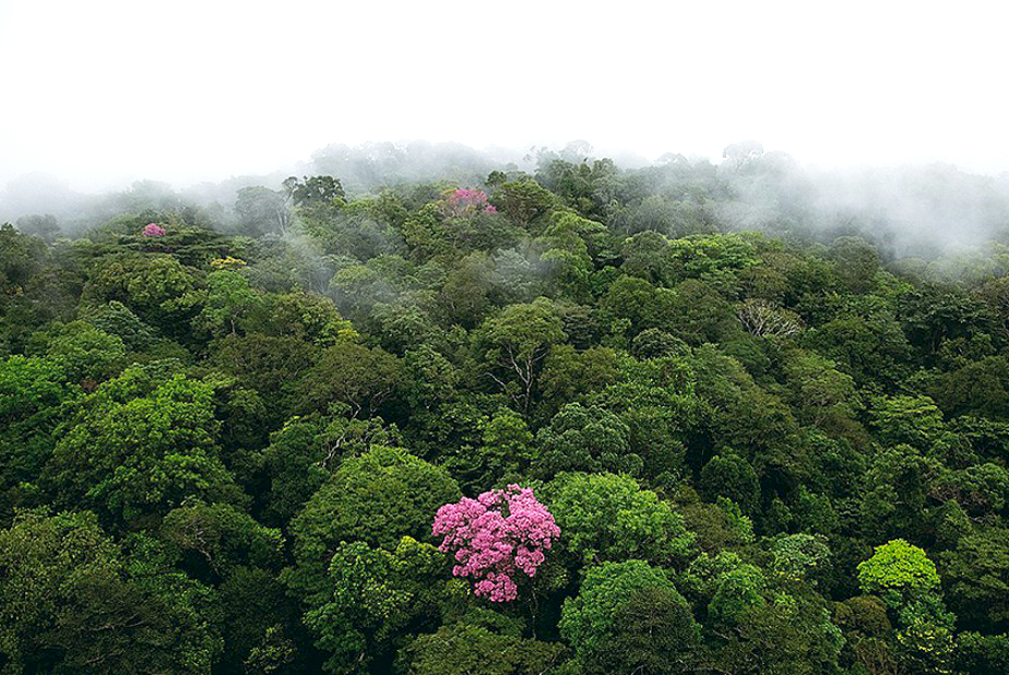 צילום: Yann Arthus-Bertrand צילום: Yann Arthus-Bertrand