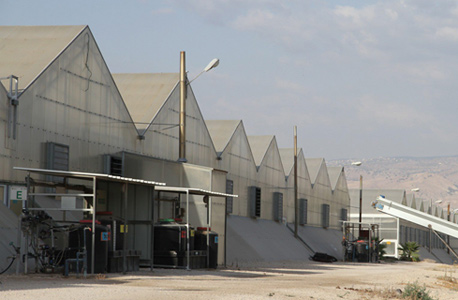 חזית מפעל ביו בי חזית מפעל ביו בי