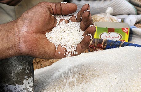 מצרים מכחישה דיווח על הסרת איסור ייצוא האורז 