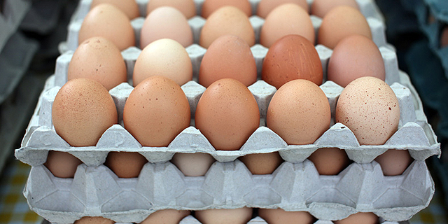 אורי אריאל: בתוך חמש שנים יוזלו מחירי הביצים בכ-15%