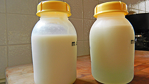 חלב אם, צילום: ויקיפדיה
