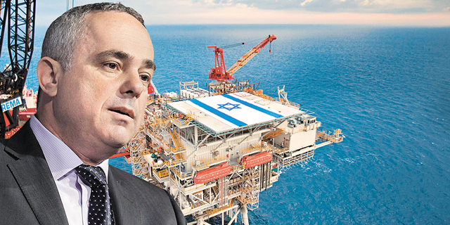 הדולפין והספין: מה עומד מאחורי הודעת שטייניץ על הפקעת מאגר הגז?