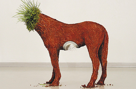 ללא כותרת, 2003 ללא כותרת, 2003