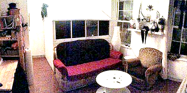 ספה משותפת, צילום: spareroom.co.uk