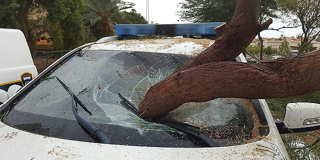 עץ שנפל על ניידת המשטרה באילת, צילום: חטיבת דובר המשטרה
