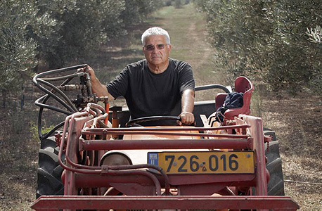 יוסי אקרמן במטע הזיתים שלו, בית לחם הגלילית. "אני לא פוסל כניסה לפוליטיקה. אם יש אנשים שחושבים שאני יכול לעשות יותר למען הצפון, שרק יגידו ואעשה" יוסי אקרמן במטע הזיתים שלו, בית לחם הגלילית. "אני לא פוסל כניסה לפוליטיקה. אם יש אנשים שחושבים שאני יכול לעשות יותר למען הצפון, שרק יגידו ואעשה"