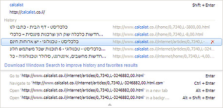 המלצות אוטומטיות בשורת הכתובת של אינטרנט אקספלורר 8 המלצות אוטומטיות בשורת הכתובת של אינטרנט אקספלורר 8