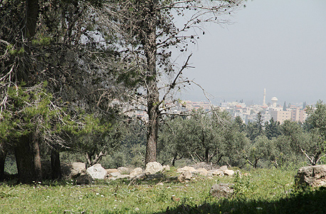 השטח ליד ג'דיידה־מכר שעליו תקום העיר הערבית. "התוכנית צריכה להתייחס למאפיינים הייחודיים של המגזר" השטח ליד ג'דיידה־מכר שעליו תקום העיר הערבית. "התוכנית צריכה להתייחס למאפיינים הייחודיים של המגזר"
