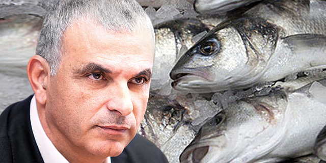 חקר ביצועים: השבוע של כחלון, פוקימון והקרפיון
