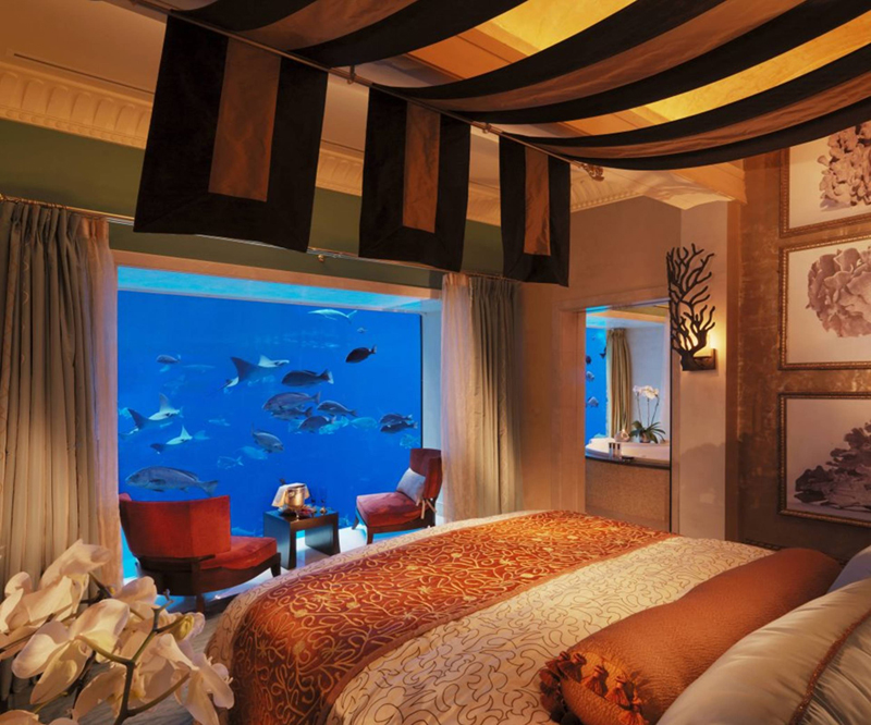 חלון לדגי המפרץ הפרסי , צילום: Atlantis, Dubai