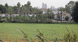 מכון וולקני חדשות עדכונים ומידע אודות מכון וולקני כלכליסט