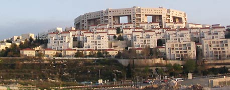 מודיעין. "חודש מוצלח - אף שיש באוויר תחושה של האטה" מודיעין. "חודש מוצלח - אף שיש באוויר תחושה של האטה"