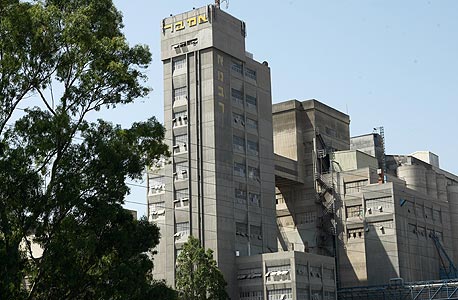 מכון התעקובת אמבר מכון התעקובת אמבר
