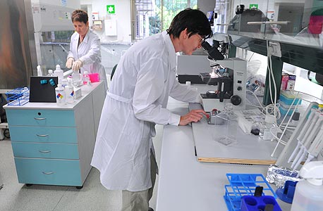 חברת גמידה סל מיצרת תאי גזע מדם חבל הטבור, צילום: גיא אסיאג