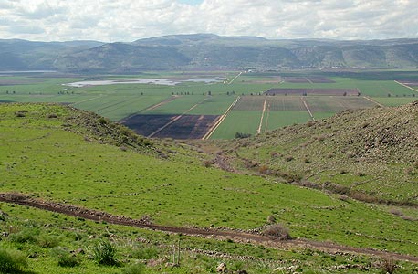 עתירה לבג&quot;ץ נגד הרפורמה במינהל מקרקעי ישראל: הרחבת ההיתר להעברת קרקעות - בלתי מידתית