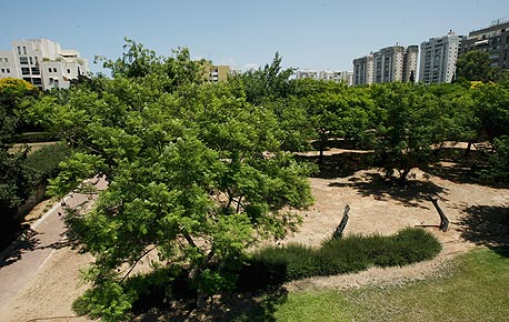 לאחר מציאת הנכס ומיקומו, יש להוכיח כי אכן היה שייך לנפטר לאחר מציאת הנכס ומיקומו, יש להוכיח כי אכן היה שייך לנפטר