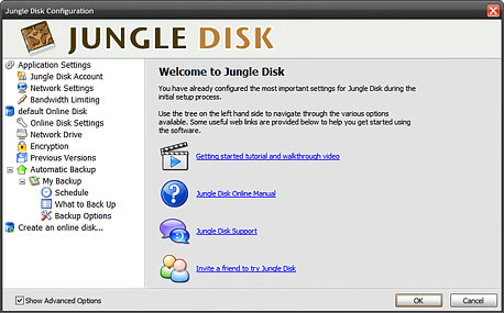 jungle disk map network drive