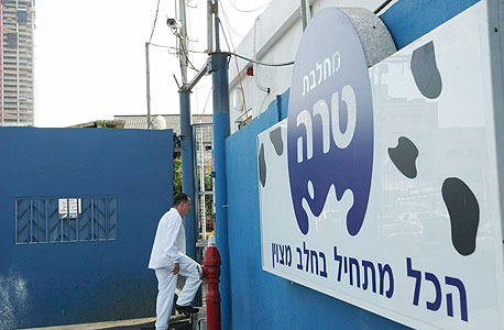 בלעדי ל"כלכליסט": "טרה מנסה להשתלט על שוק החלב בכל מחיר"