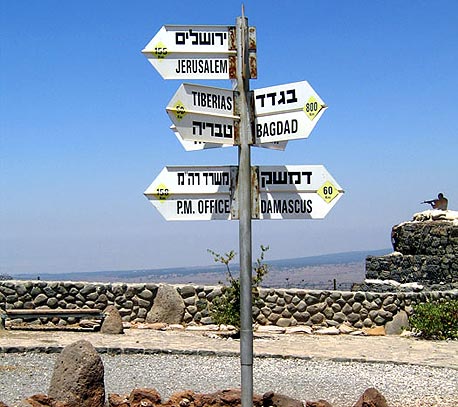 7 לשישבת: הצעות ורעיונות לסוף השבוע