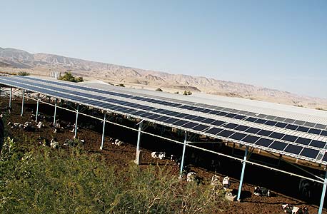 פאנלים על גג הרפת ביטבתה פאנלים על גג הרפת ביטבתה