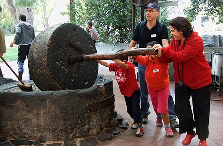בית בד (ארכיון) בית בד (ארכיון)