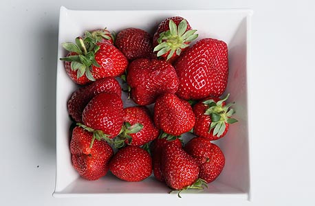 Strawberries. Photo: Avigail Uzi
