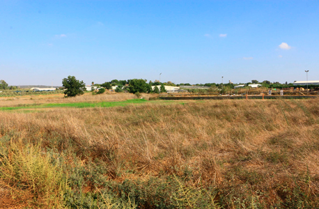 קרקע חקלאית בשרון. "תנועה ערה על משקיעים לעבר ענף הקרקעות" קרקע חקלאית בשרון. "תנועה ערה על משקיעים לעבר ענף הקרקעות"