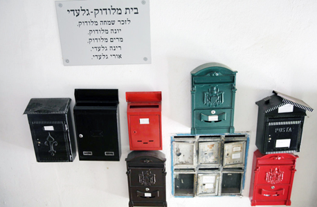 תיבות הדואר של הדיירות, שלצדן הן תלו שלט עם שמות בני משפחתו של אורי גלעדי. "אחרי שהוא חלה, אחת מהדיירות באה להאכיל את החתולים במקומו" תיבות הדואר של הדיירות, שלצדן הן תלו שלט עם שמות בני משפחתו של אורי גלעדי. "אחרי שהוא חלה, אחת מהדיירות באה להאכיל את החתולים במקומו"