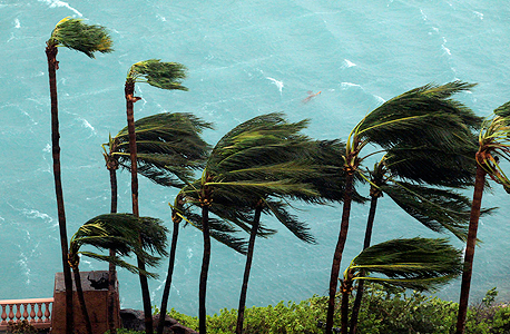 הוריקן מתיו בחופי הבהמאס, צילום: איי פי
