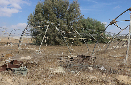 חממה נטושה בשדה בדרום. ההורים מזהירים את ילדיהם שלא להיכנס לעסק חממה נטושה בשדה בדרום. ההורים מזהירים את ילדיהם שלא להיכנס לעסק