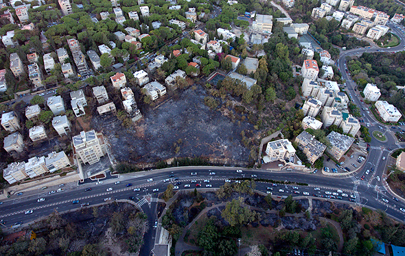 כך נראים השכונות בחיפה אחרי השריפות כך נראים השכונות בחיפה אחרי השריפות